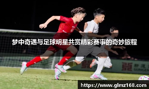 梦中奇遇与足球明星共赏精彩赛事的奇妙旅程